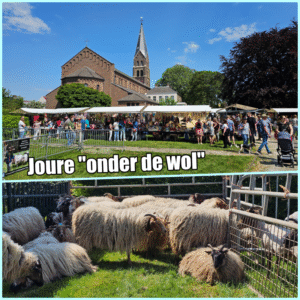 “Joure onder de Wol”